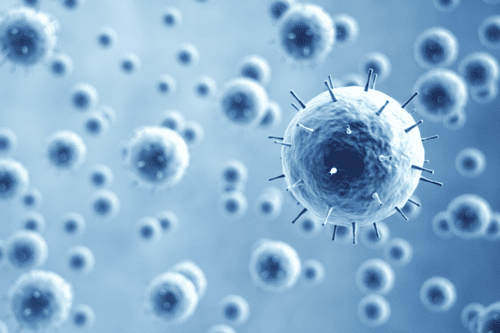 Study Shows Temporary Isolation Wards Provided Effective Protection Against Healthcare-Associated COVID-19 Transmission