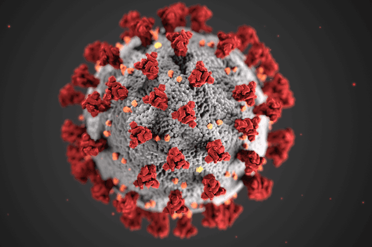 To Eliminate COVID-Era Bloodstream Infections in Heart, Lung Patients, Tampa Hospital Had to Innovate