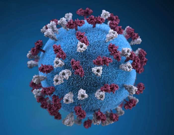 covid virus rendering